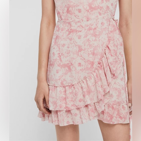 ALLSAINTS ~ Priya Rosa Dress - Picture 5 of 7